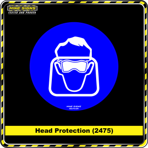 Eye & Face Protection (Pictogram 2474)